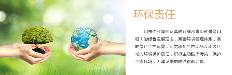 社會(huì)責(zé)任